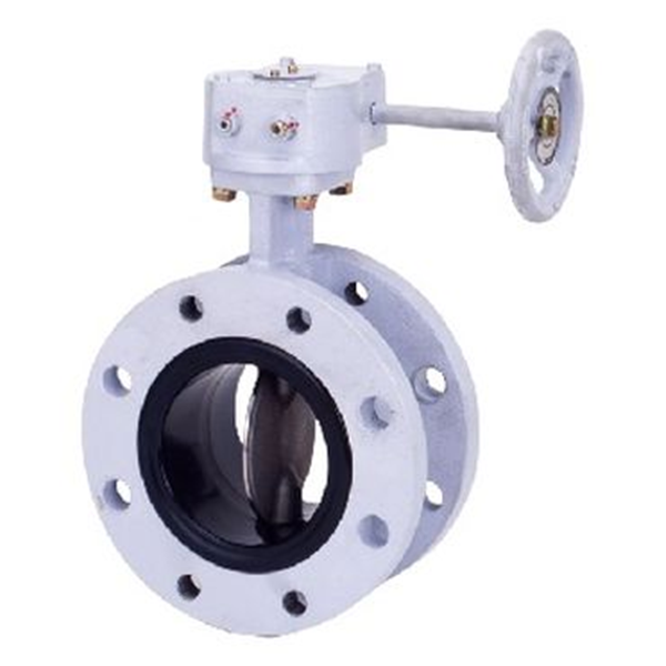 KITZ開滋閥門\電動蝶閥EXCN100-10HRDJUE-80A