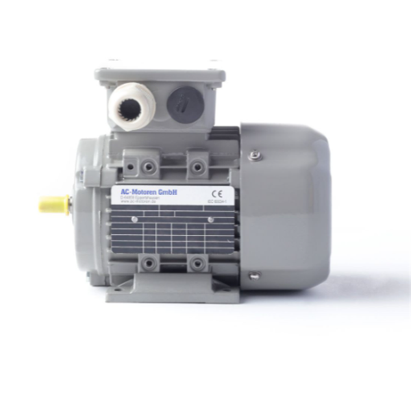 德國AC MOTOREN防火防爆電機(jī)E3-ASA 90 SB 4